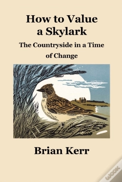 Capa do artigo How To Value A Skylark