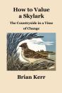 How To Value A Skylark - Preview