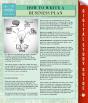 How To Write A Business Plan (Speedy Study Guides) - Preview