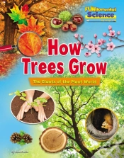Capa do artigo How Trees Grow