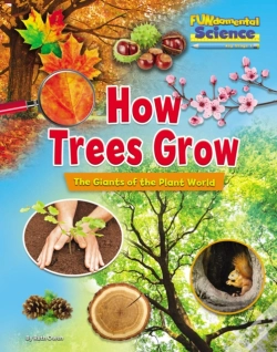 Capa do artigo How Trees Grow