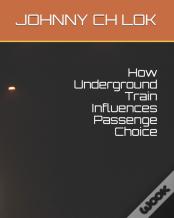 How Underground Train Influences Passenge Choice