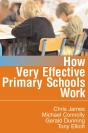 How Very Effective Primary Schools Work - Preview