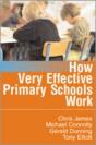 How Very Effective Primary Schools Work - Preview