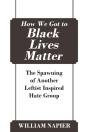 How We Got To Black Lives Matter - Preview