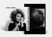 Capa do artigo How Were We to Know - Vinil