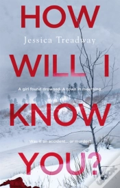 Capa do artigo How Will I Know You?