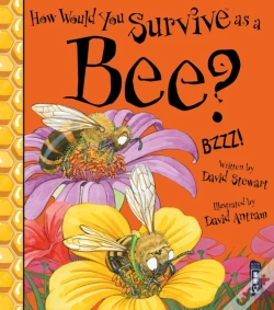 Capa do artigo How Would You Survive As A Bee?