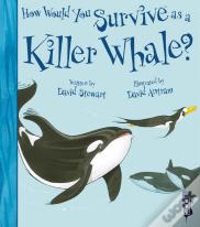 How Would You Survive As A Killer Whale?