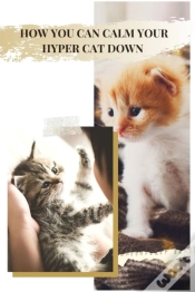 Capa do artigo How You Can Calm Your Hyper Cat Down