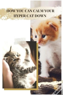 Capa do artigo How You Can Calm Your Hyper Cat Down
