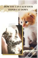 How You Can Calm Your Hyper Cat Down