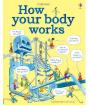 How Your Body Works - Preview