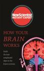 How Your Brain Works - Preview