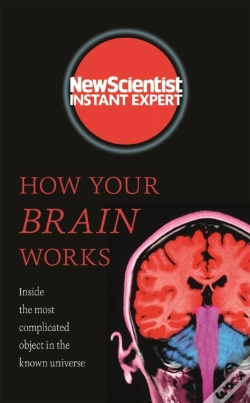 Capa do artigo How Your Brain Works