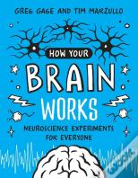 How Your Brain Works