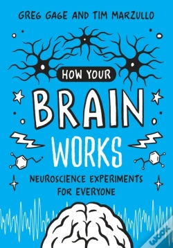 Capa do artigo How Your Brain Works