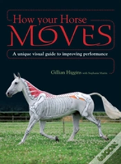Capa do artigo How Your Horse Moves