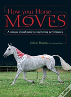 Capa do artigo How Your Horse Moves
