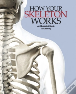 Capa do artigo How Your Skeleton Works