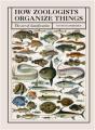 How Zoologists Organize Things - Preview