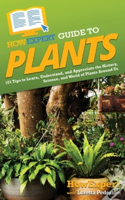 Capa do artigo Howexpert Guide To Plants