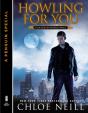 Howling For You - Preview
