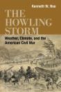 Howling Storm - Preview