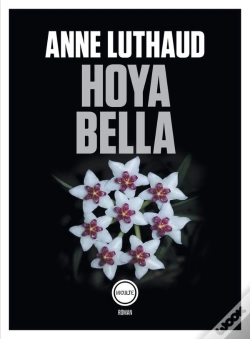 Capa do artigo Hoya Bella
