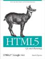 Html5: Up And Running - Preview
