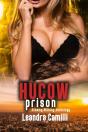 Hucow Prison - Preview