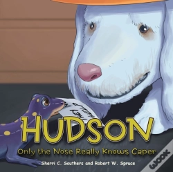 Capa do artigo Hudson
