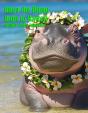 Hugo The Hippo Hops To Hawaii - Preview