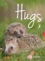 Hugs - Preview
