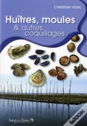 Huitres, Moules Et Coquillages