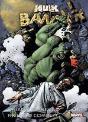 Hulk - Banner - Preview