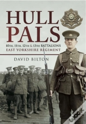 Capa do artigo Hull Pals