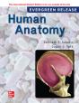 Human Anatomy: 2024 Release Ise - Preview