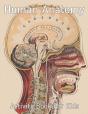 Human Anatomy Activity Book For Kids - Preview