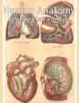 Human Anatomy Activity Book For Kids - Preview