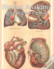 Human Anatomy Activity Book For Kids