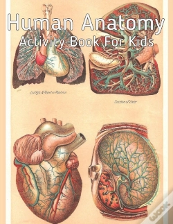 Capa do artigo Human Anatomy Activity Book For Kids