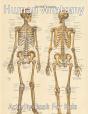 Human Anatomy Activity Book For Kids - Preview