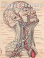 Human Anatomy Activity Book For Kids - Preview