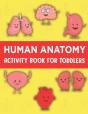 Human Anatomy Activity Book For Toddlers - Preview