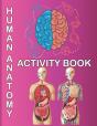 Human Anatomy Activity Book - Preview