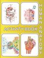 Human Anatomy Activity Book - Preview