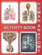 Human Anatomy Activity Book - Preview
