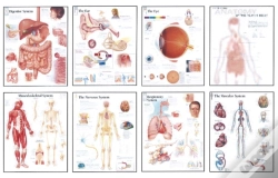 Capa do artigo Human Anatomy Chart Pack