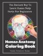Human Anatomy Coloring Book - Preview
